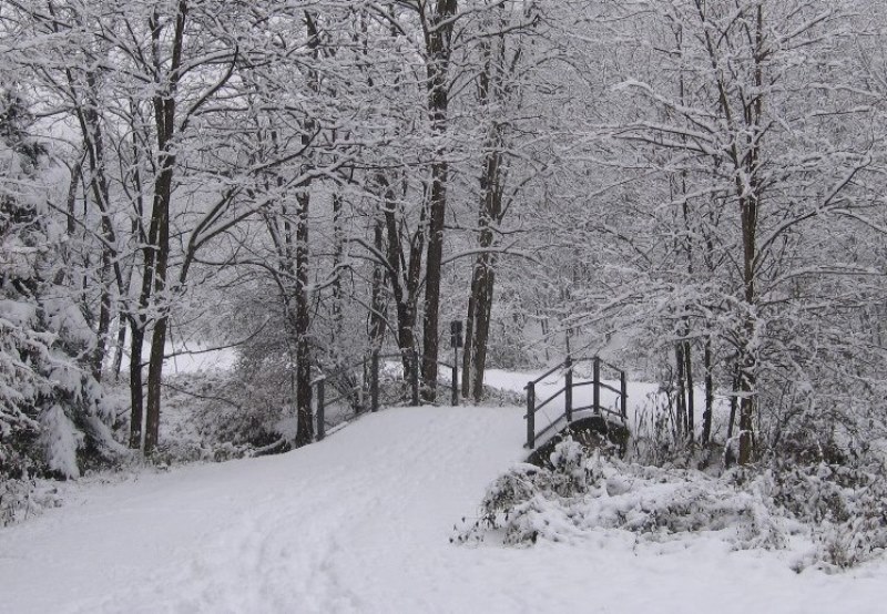 Auguri dal Consorzio Parco del Lura | Parco del Lura